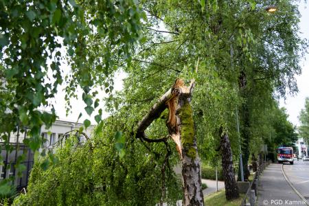 Stanje na terenu (12)